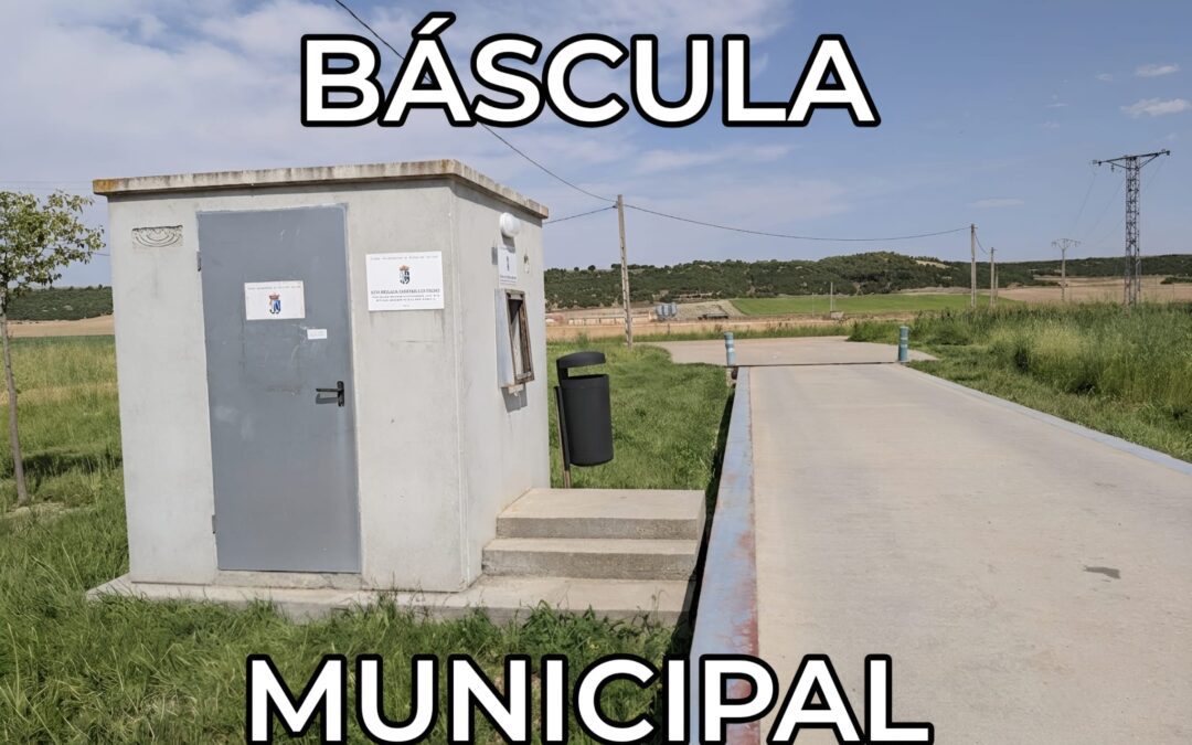 bascula municipal torres del carrizal
