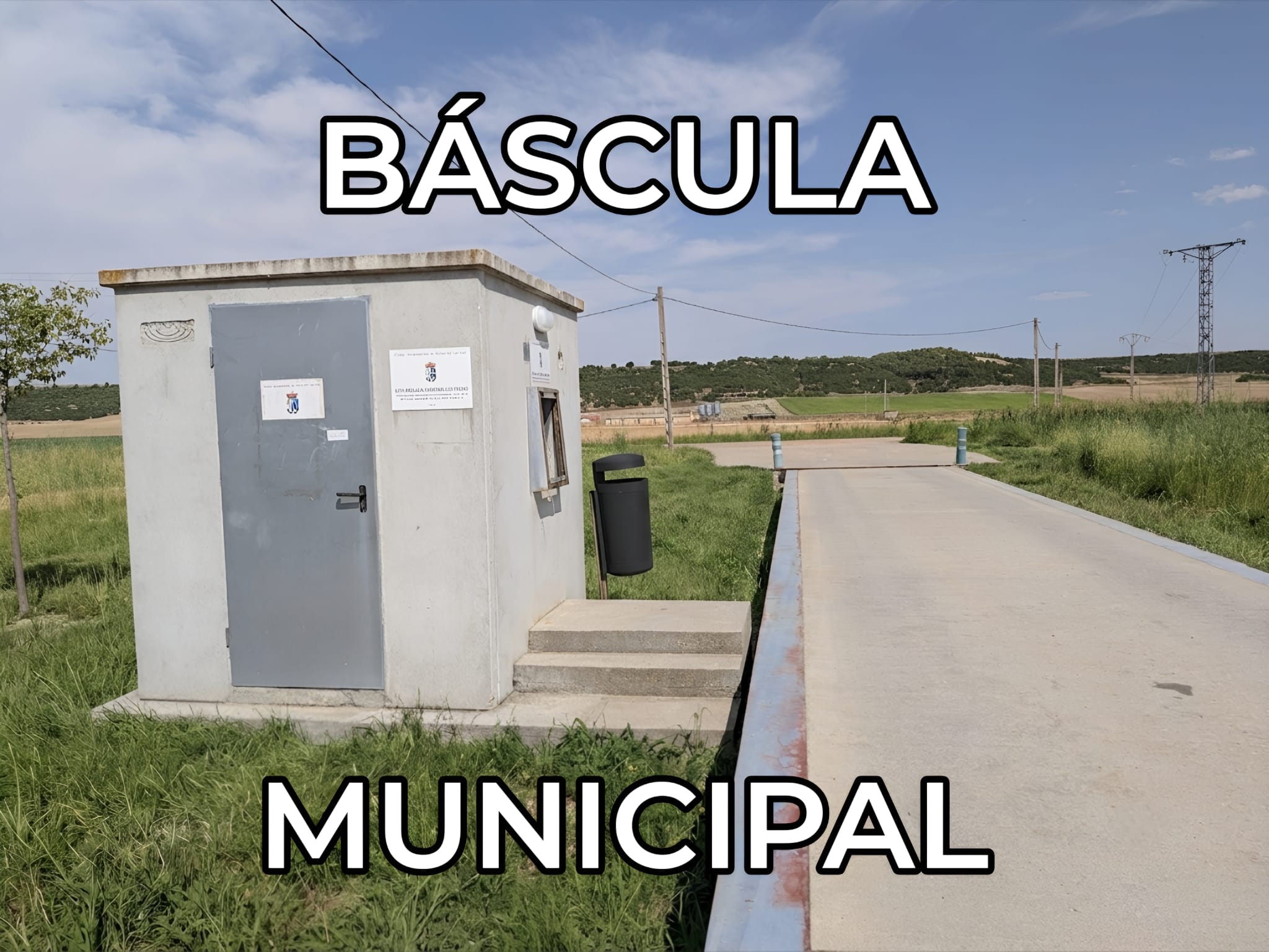 bascula municipal torres del carrizal